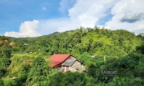 Điều kiện để chuyển đổi đất rừng đặc dụng ở Cao Bằng