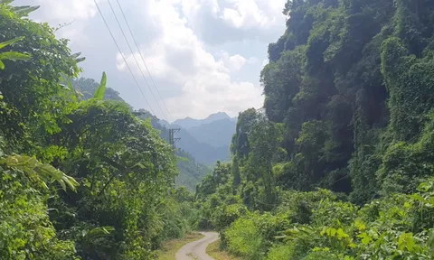 Bắc Kạn: Nhiều vi phạm về đất đai tại dự án của Công ty TNHH Phúc Lộc