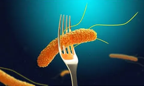 4 món ăn nhiễm khuẩn Salmonella khiến 80 sinh viên ở Lào Cai ngộ độc