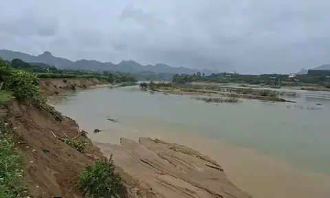 Tuyên Quang: Dừng hoạt động khai thác cát, sỏi lòng sông Gâm của một doanh nghiệp