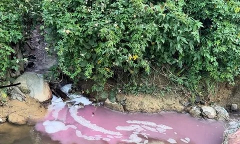 Hòa Bình chỉ đạo xử lý nghiêm nhà máy gỗ xả nước thải màu lạ