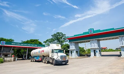 Phú Thọ: Công ty TNHH Hải Linh đứng đầu danh sách nợ thuế