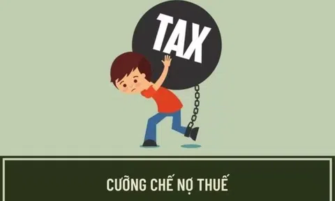 Hà Giang: Cưỡng chế thuế, ngừng sử dụng hóa đơn Công ty TNHH Bảo An