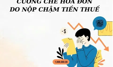 Vĩnh Phúc: Công ty TNHH Trung Hương bị cưỡng chế ngừng sử dụng hóa đơn