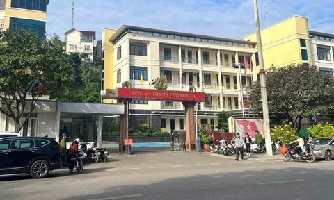 Sơn La chuyển đổi nhiều khu vực đất lúa, đất rừng phòng hộ