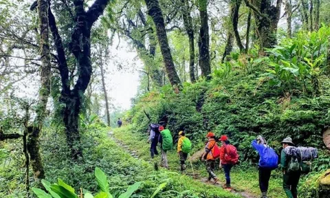 Kỳ lạ một con đường đá cổ xưa kéo dài từ huyện Bát Xát của Lào Cai tới tận TP Lai Châu