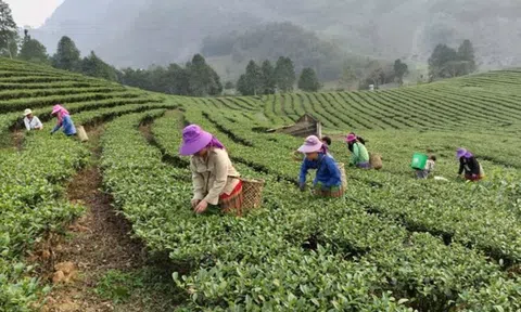 Yên Bái, Lào Cai tìm giải pháp căn cơ khôi phục kinh tế xã hội