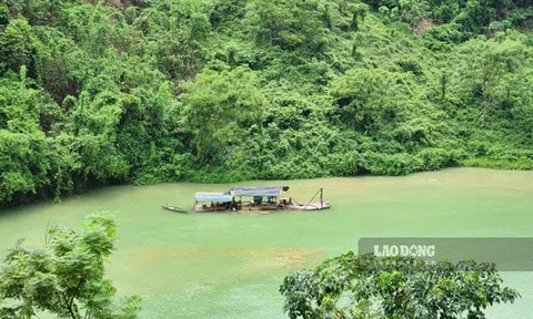 Cao Bằng chuyển đổi hơn 18ha rừng tự nhiên để làm thủy điện