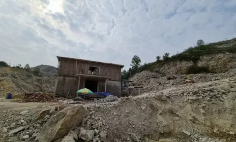 Tuyên Quang: Công khai danh sách các doanh nghiệp có vi phạm luật đất đai