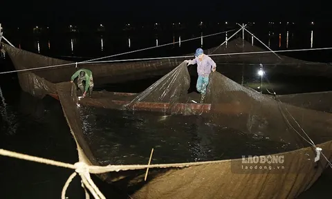 Cuộc sống của những ngư dân ở miền sông nước Mường Lay