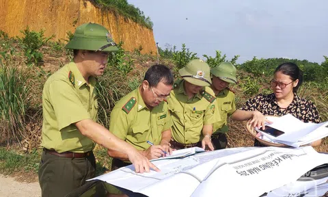 'Số hóa' công tác quản lý, bảo vệ rừng tại Thái Nguyên