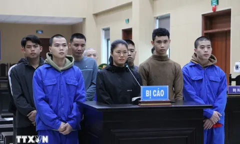 Điện Biên: Lừa đảo chiếm đoạt tài sản tại Lào, 12 bị cáo bị phạt tù