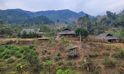 Bắc Kạn sắp xếp, sáp nhập gần 800 thôn bản trong năm 2024