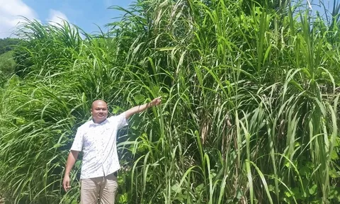 Chấm dứt hoạt động dự án bò Mông đầy tai tiếng ở Bắc Kạn