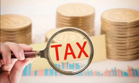 Lào Cai: Công ty Thương mại Lưu Trí Bảo và Công ty Xuất nhập khẩu Hà Đức bị cưỡng chế thuế