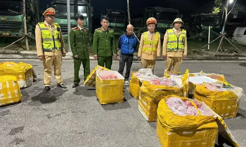 Hoà Bình: Thu giữ gần 1 tấn nội tạng hôi thối khi đang đi tiêu thụ