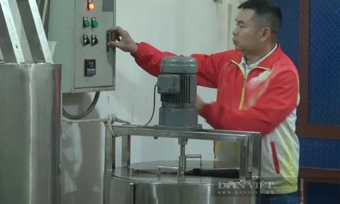 Bỏ nghề giáo về nấu thạch, một nông dân ở Cao Bằng thu nhập vài trăm triệu đồng mỗi năm