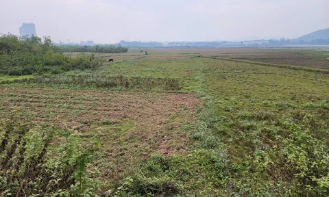 Phú Thọ: Cưỡng chế 13 hộ dân thực hiện 2 dự án hơn 900 tỷ đồng