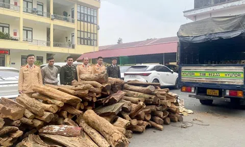 Bắt giữ 2,5 tấn lâm sản vận chuyển trái phép tại Hà Giang