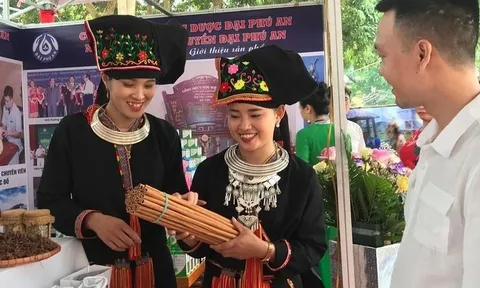 Huyện Văn Yên (Yên Bái): Sẵn sàng cho Lễ hội Quế lần thứ V - 2024