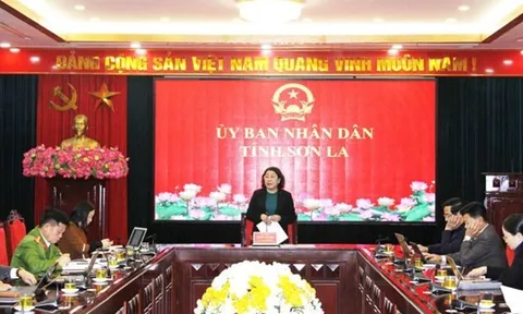 Một tỉnh miền núi giảm 4 sở, có thêm 1 sở mới sau sắp xếp