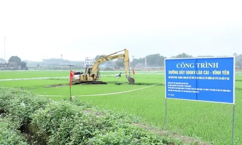 Dỡ nhà, nhường ruộng vườn cho Dự án đường dây 500 kV Lào Cai - Vĩnh Yên