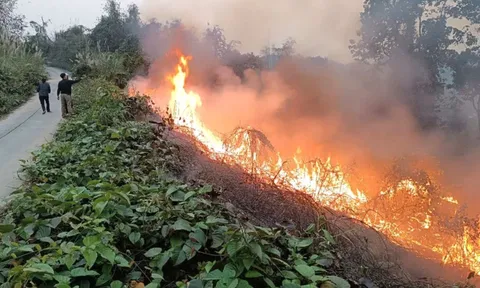 Hà Giang: Tăng cường quản lý đốt dọn thực bì, phòng chống cháy rừng
