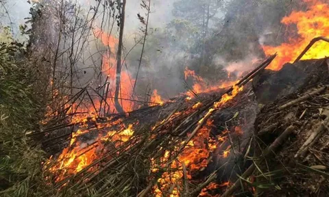 Bài học sau vụ cháy rừng thảm khốc ở Tuyên Quang