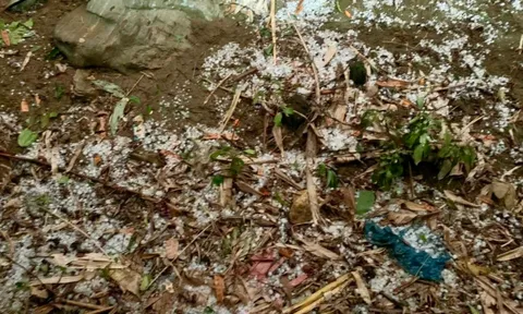 Sơn La, Điện Biên xuất hiện mưa đá