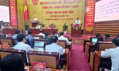 Cho thôi làm Đại biểu HĐND tỉnh Lạng Sơn do vi phạm sử dụng chứng chỉ giả