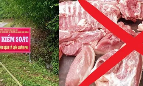 Cao Bằng nỗ lực kiểm soát dịch tả lợn châu Phi