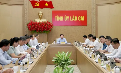 Lào Cai quyết liệt triển khai các nhiệm vụ chuyển đổi số được Trung ương giao