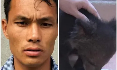 Bắt giữ đối tượng vận chuyển 2 cá thể gấu ngựa đi bán