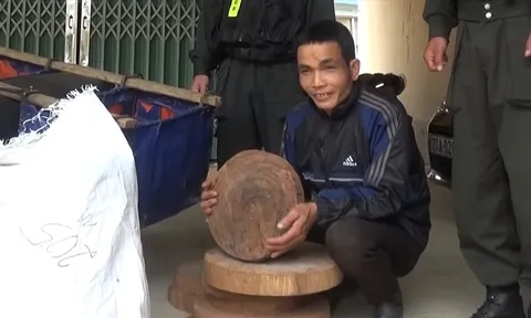 Khởi tố 1 đối tượng mua bán, vận chuyển gỗ nghiến dạng thớt
