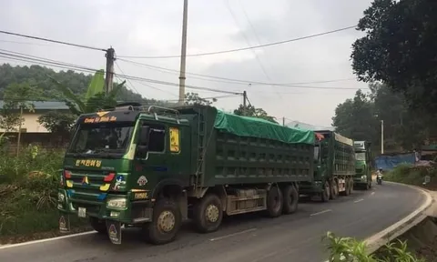 Yên Bái: Xử lý đoàn xe chở cát bỏ chạy, chống đối lực lượng chức năng