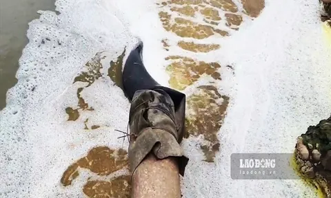 Hà Giang: Xả thải ra sông Lô, Công ty giấy bị xử phạt 459 triệu đồng