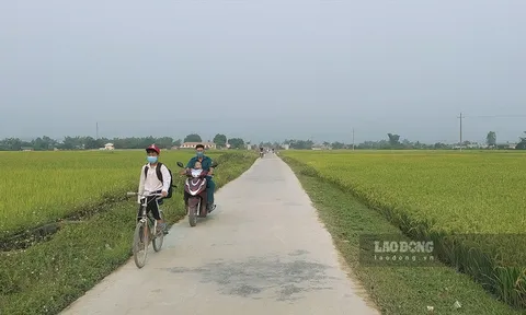 Điện Biên: Khởi tố Phó chủ tịch xã tham ô hơn 100 triệu đồng