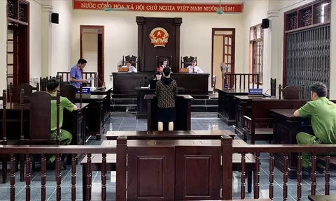 Lào Cai: Phạt tù kẻ làm giấy phép lái xe giả để kiếm lợi bất chính