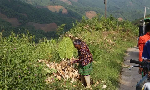 Loay hoay tìm đất cất nhà giữa lõi Khu bảo tồn Nà Hẩu