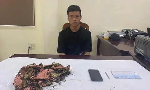 Trộm lợn tiết kiệm và trâm cài tóc, nam thanh niên bị khởi tố