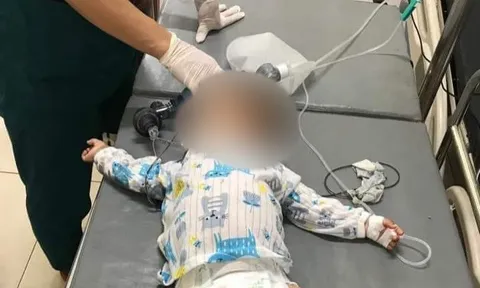 Yên Bái: Bố đẻ ép con gái 9 tháng tuổi uống thuốc sâu cùng tự tử