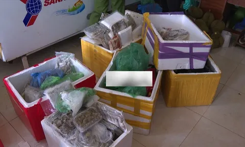 Phú Thọ: Phát hiện hơn 200kg thực phẩm đông lạnh hết hạn
