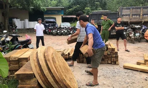 Yên Bái: Xử phạt và đình chỉ hoạt động hợp tác xã mua lâm sản trái phép