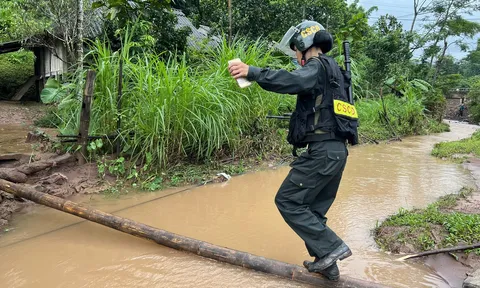 Diễn biến mới vụ con rể sát hại mẹ vợ ở Hòa Bình