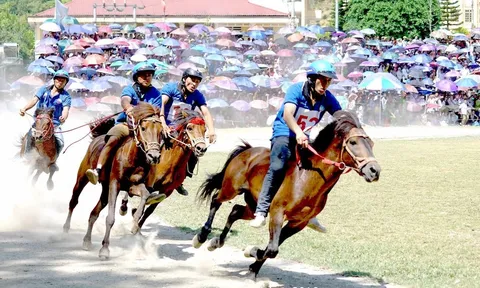 Festival "Cao nguyên trắng" Bắc Hà 2022 diễn ra từ ngày 4 – 12/6