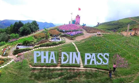 Pha Đin Pass - Điểm dừng thơ mộng trên đèo Pha Đin