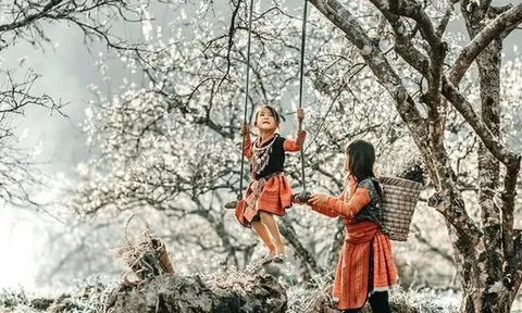 “Festival Cao nguyên trắng Bắc Hà” mùa hè diễn ra từ ngày 04 - 12/6/2022