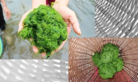 5 đặc sản Tây Bắc
