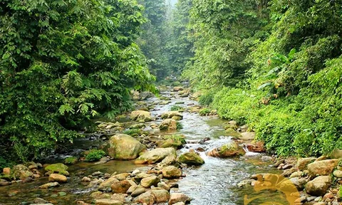 Những dòng suối đẹp duyên dáng ở Tây Bắc