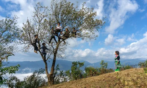 Cuộc sống trong bản H'Mông ở Sìn Hồ